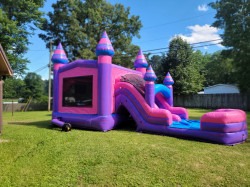 20250523 164729 1748273533 Purplicious palace wet or dry combo