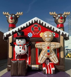 Rudolph's winter wonderland