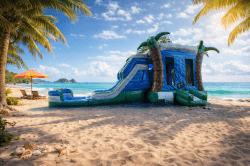 Aqua Trop wet/dry Combo